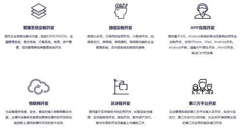 軟件開發(fā)外包服務 定義、模式、優(yōu)勢與選擇指南